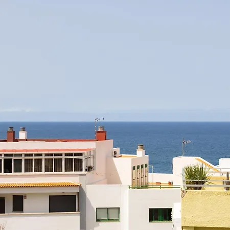 La Palmera De Peregrino