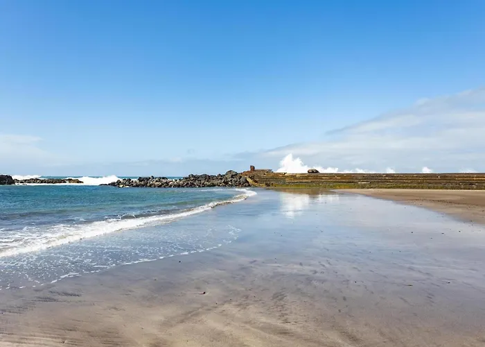 La Palmera De Peregrino